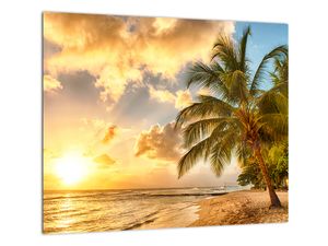 Obraz palmy na piesočnatej pláži