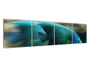 Obraz na stenu - ryby