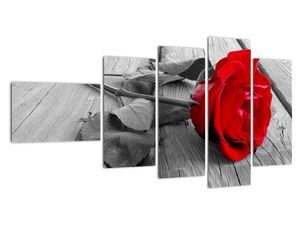Obraz ruže s červeným kvetom