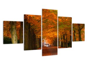 Obraz cesty lesom na jeseň