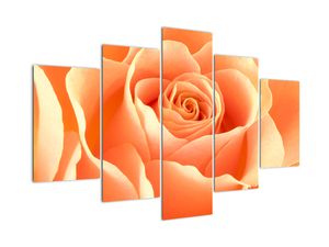 Obraz oranžové ruže