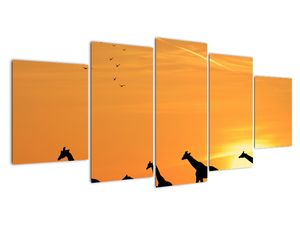 Moderný obraz - žirafy