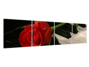 Obraz ruže na klavíri