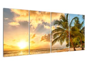 Obraz palmy na piesočnatej pláži