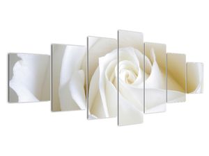 Obraz biele ruže