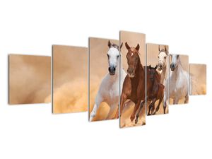 Obrazy bežiacich koní