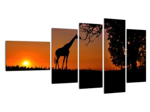Obraz žirafy v prírode