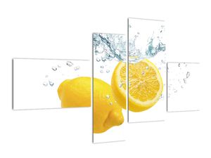 Citron- Obraz