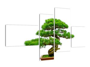 Bonsai - moderný obraz