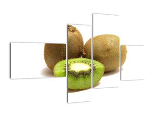 Obraz kiwi