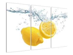 Citron- Obraz