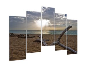 Pláž - obraz