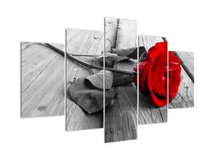 Ruža červená - obraz