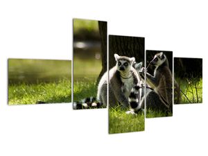 Obraz lemurov