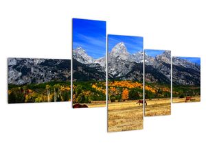 Panorama krajiny - obraz
