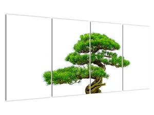 Bonsai - moderný obraz