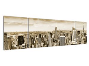 Panorama New York, obraz