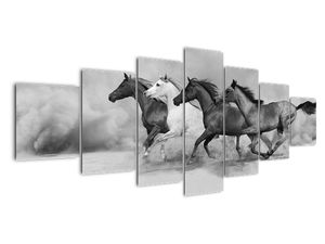 Obraz cválajúci koňov