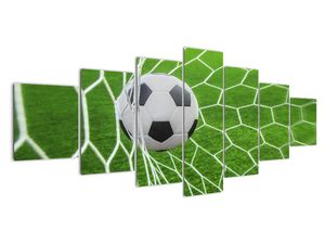 Futbalová lopta v sieti - obraz