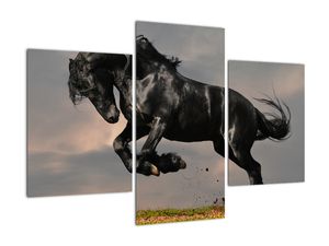 Čierny kôň, obraz