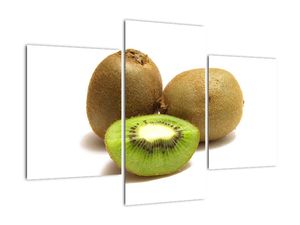 Obraz kiwi