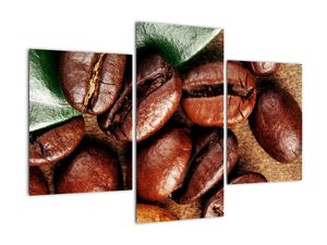 Kávové zrná, obrazy