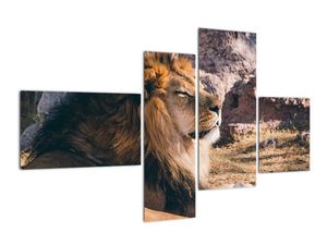 Obraz - ležiaci lev