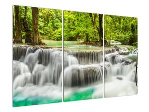 Obraz lesných vodopádov