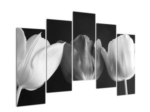 Čiernobiely obraz - tri tulipány