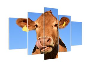 Obraz kravy