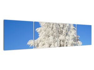 Zasnežený strom - obraz
