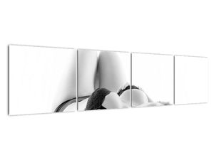 Obrazy nahé ženy