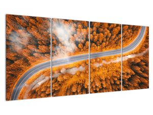 Cesta lesom - moderné obrazy na stenu