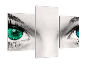 Obraz - detail zelených očí